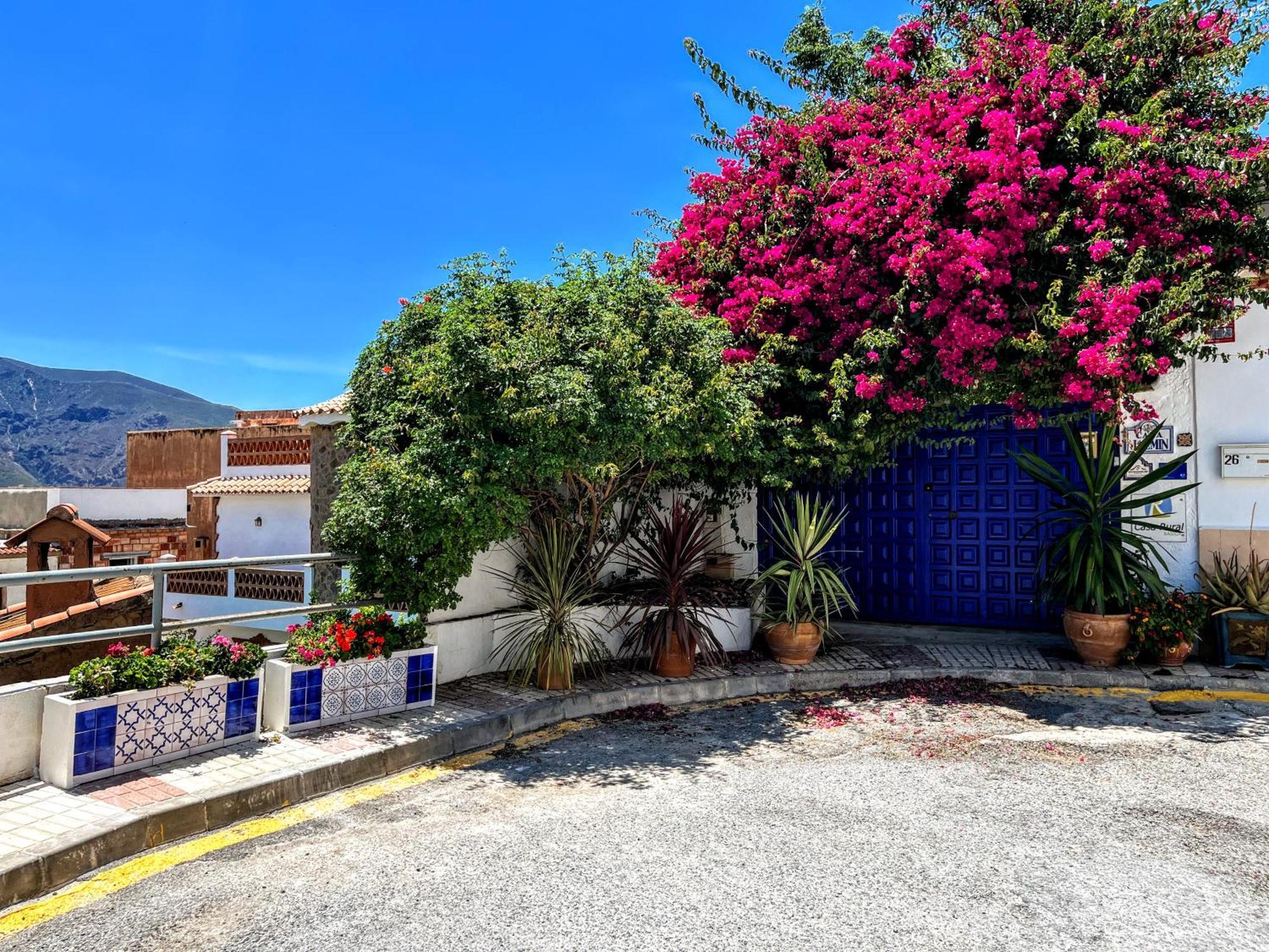 מלון אורגיווה Casa Jazmin מראה חיצוני תמונה